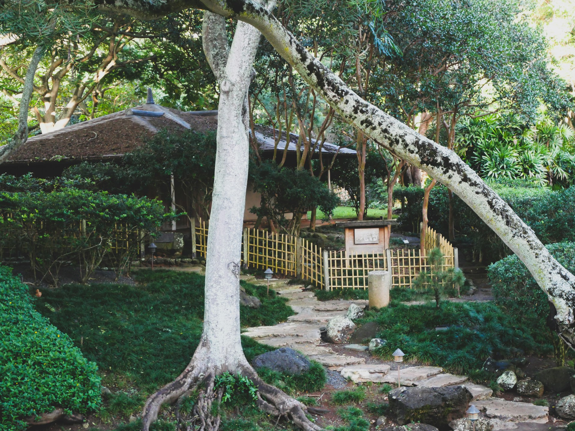 Serengeti Safari Lodge